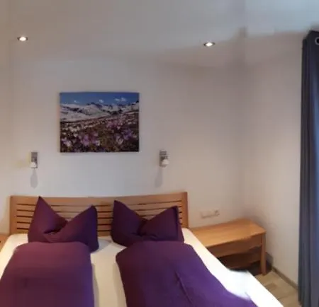 Apartamento Haus Hell Mayrhofen